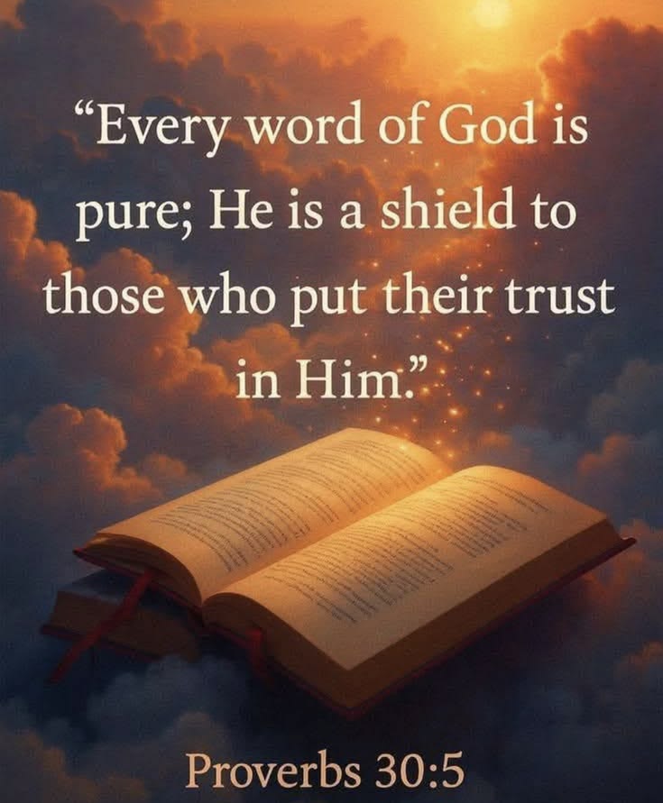 thompsonb2569's tweet photo. - Proverbs 30:5 https://t.co/u8wajsYepZ