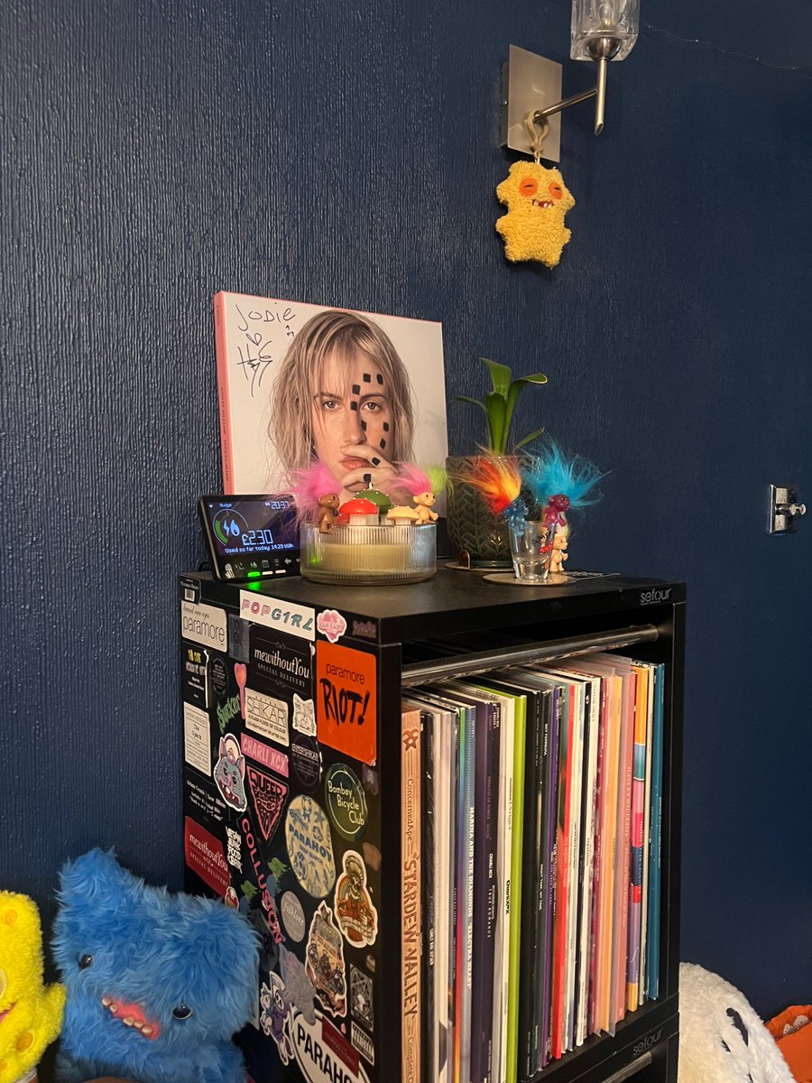myflimsyspine's tweet photo. living room of a 30 year old woman https://t.co/ezApaGLFum