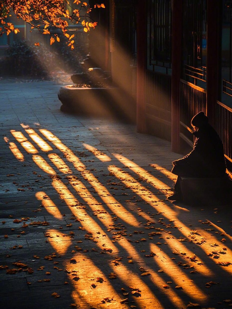 tegpercival1's tweet photo. [New to photography Start with mastering natural light – it’s free and makes your photos look way more professional than any fancy gear!]， https://t.co/ZwwrUOOAQv