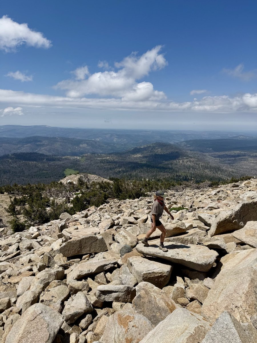 AlexHonnold's tweet photo. I got to go hike Pyramid Peak with Sanni - lovely little date morning in Desolation Wilderness. 

Very cute marmot on the summit - he was posing for us (or maybe trying to steal our snacks…) And a really nice view of Lover’s Leap and Hogsback across the river. https://t.co/peo6BvMpfV