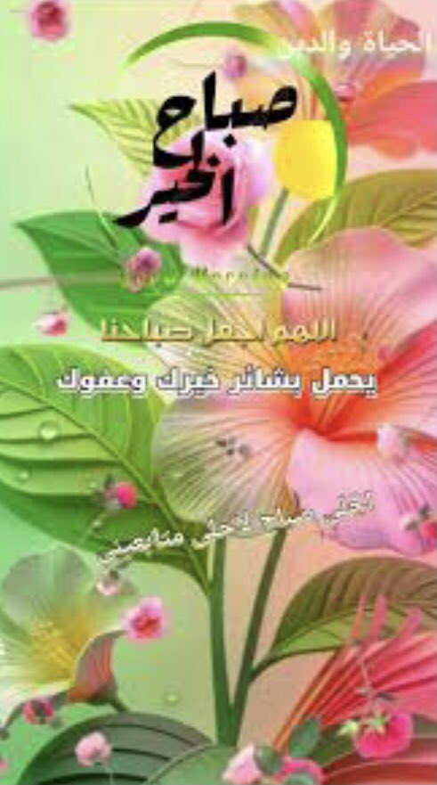 fk6ih's tweet photo. #صباح_الخيــــر https://t.co/FPMcagVhOA