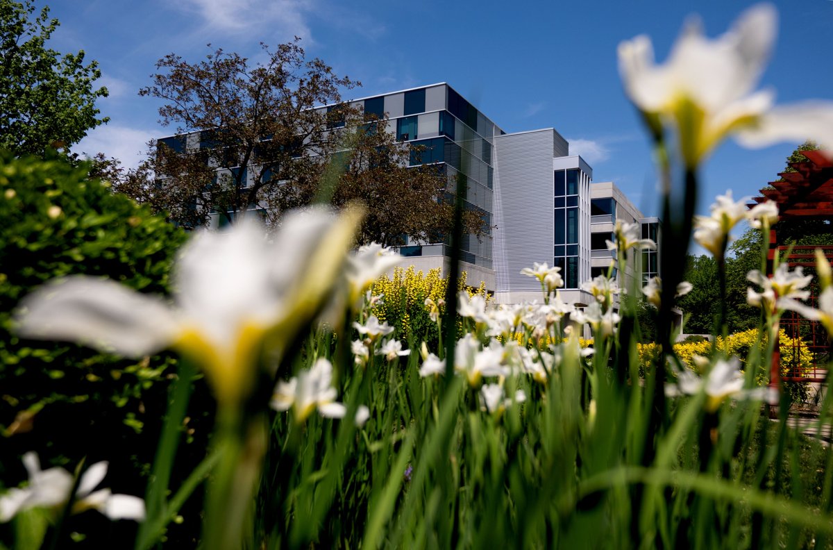 GVSU's tweet photo. Flowers, festivals and more: this is June at GVSU. 🌷 See more photos from the month here: https://t.co/TndMmDoewF

📸: Kendra Stanley-Mills, Cory Morse, Emily Riddle https://t.co/R08zW4L8Yz