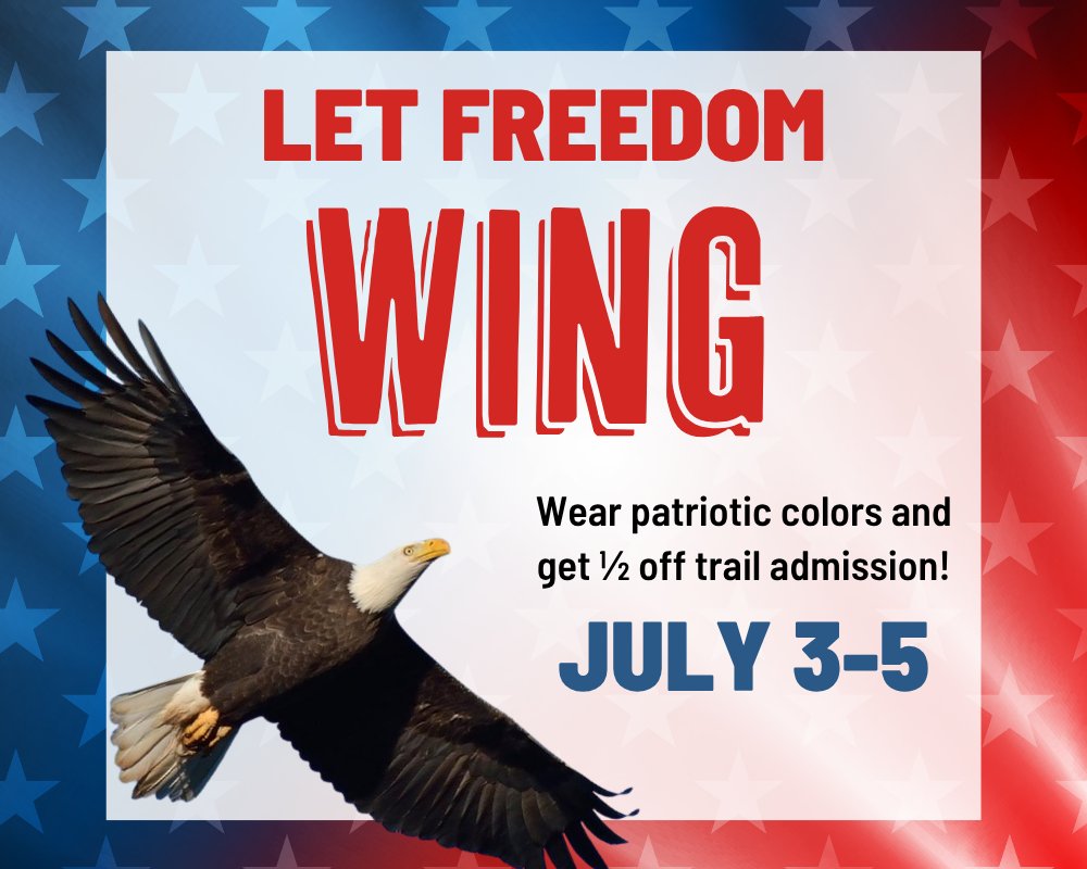 Hawk_Mountain's tweet photo. Come celebrate this special Independence Day weekend with us and get a discount! Wear red, white, or blue and get half off trail admission, or if you're already a Mountain Member, enter to win a prize! Valid through Sunday. https://t.co/LHgFeM88V6