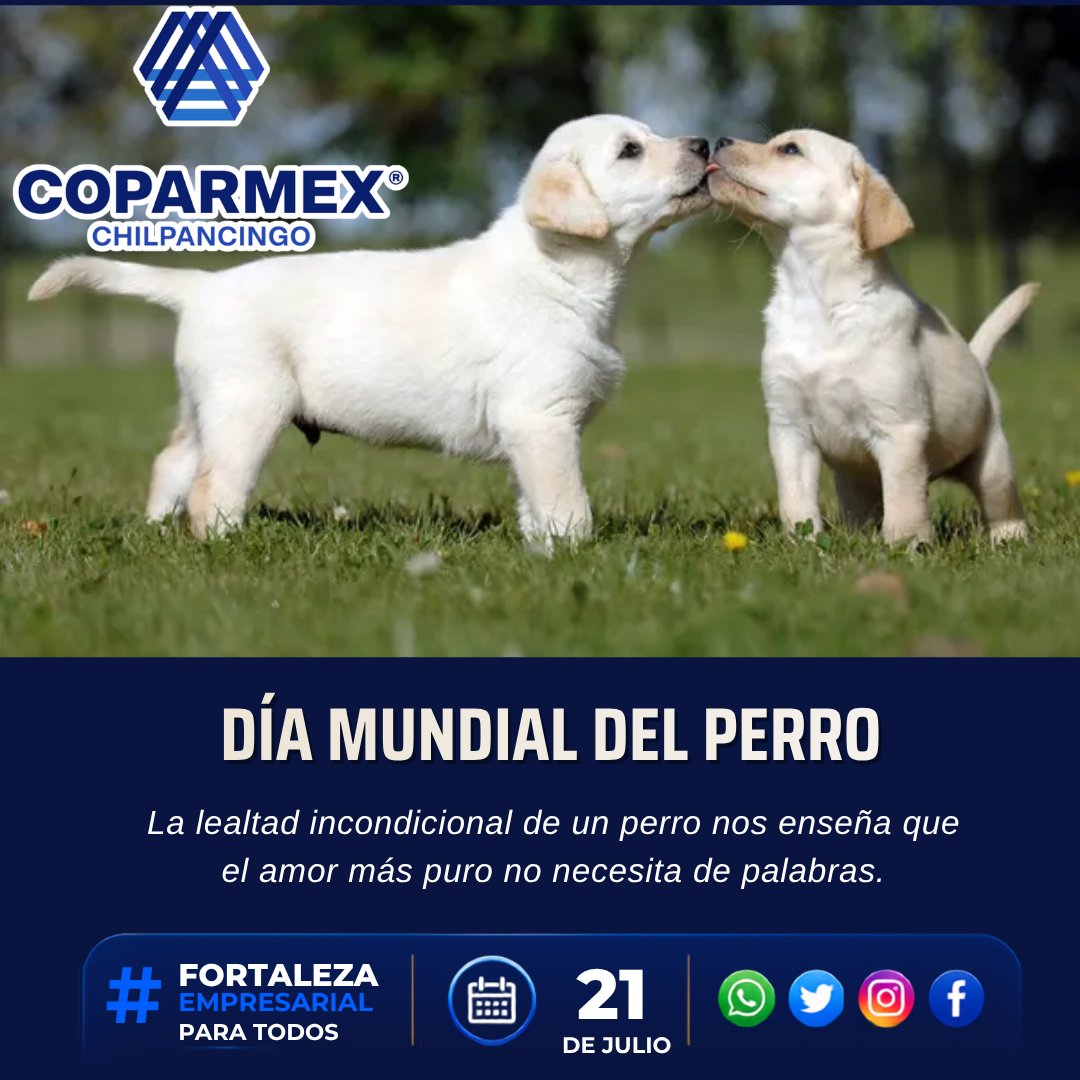 Coparmex_Chilpo tweet picture