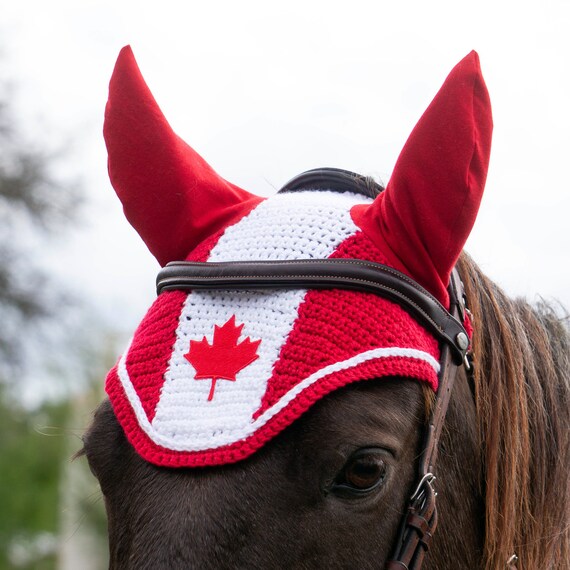 lucahjin's tweet photo. HAPPY CANADA DAY MY SUGAR CUBES! 🇨🇦 https://t.co/mroGKyWhUH