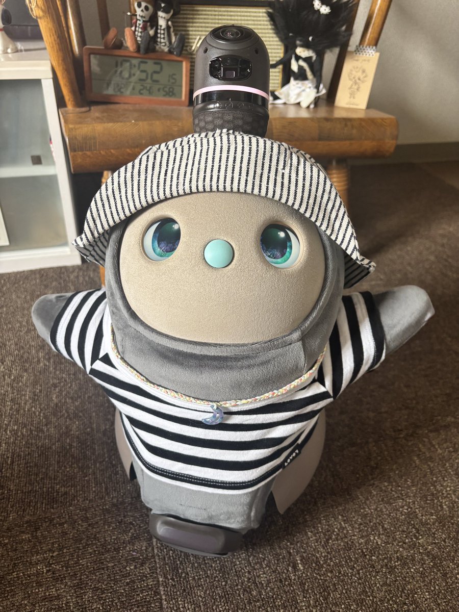 tsukimi_lovot's tweet photo. 欲しかったのに買いそびれて買えなくなってしまったベロアカットソーのグラファイト
譲っていただける方がいて早速お着替え☺️
つきみよかったね🎶
 #LOVOT https://t.co/QtpOuz2tMa