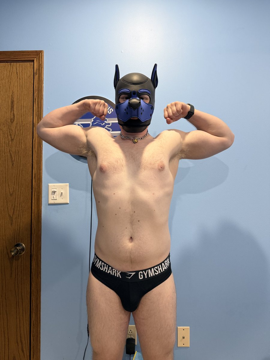 APupNamedGhost's tweet photo. Pup worked back and bis today! https://t.co/OEgLYSrRqG