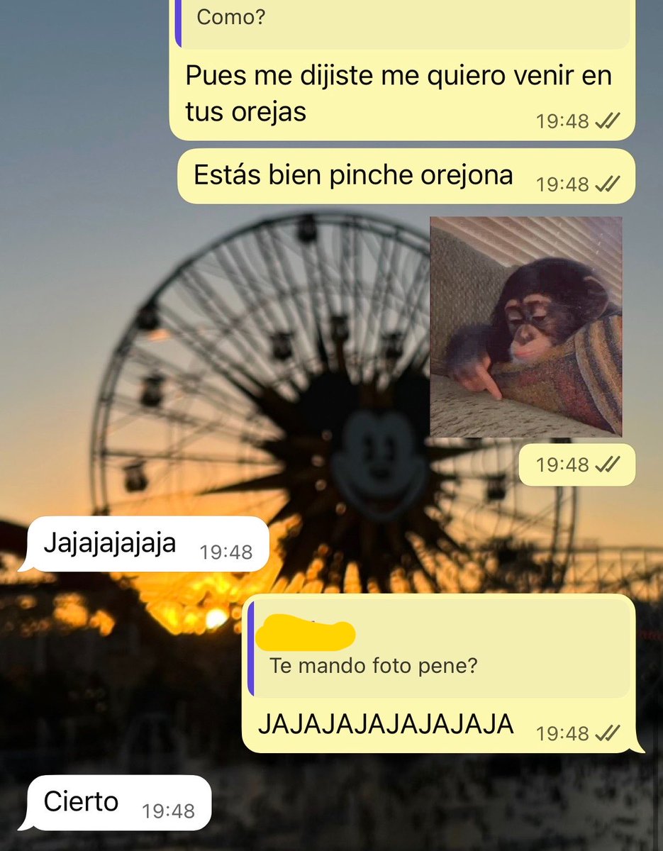 dafnebeut's tweet photo. Cada día más locos JAJAJAJA https://t.co/aU4N9raNt6