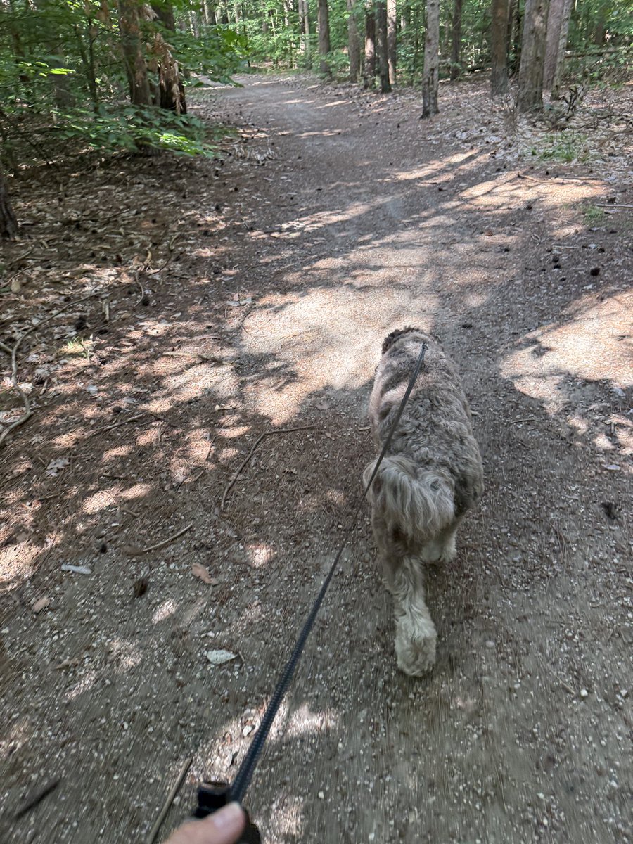 karrie_joy's tweet photo. Finally got back into the trails today. It was only 100° 🥵…..but it’s a new month and we have new goals 💪🏻
#julygoals
#alwayswithme
#chooseyou
#choosehappy https://t.co/sTsOIhZnYe
