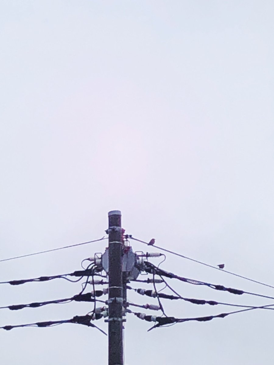 33mihal's tweet photo. 健やかに
安全に
#イマソラ
#tokyo https://t.co/9oENvdEJ3F