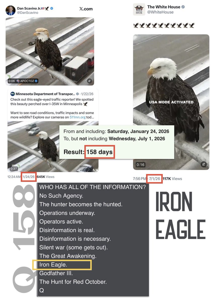 LeighAnnEskew's tweet photo. Dan posted this eagle on 🦅 
1/24/26
Posted by the WH today
7/1/26
—
Days between 158
—
Q 158 includes:
IRON EAGLE 🦅 https://t.co/mgvoqZQrkY