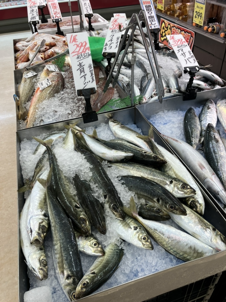 06_morinaga's tweet photo. 7/2は 半夏生🐙
梅雨空が続いていますが、しっかり食べて元気をチャージ💪
関西を中心に、半夏生には「タコ」を食べる��慣があります。稲の根がタコの足のように深く張ることを願った縁起物なんです🌾鮮魚コーナーでは、旨味たっぷりの新鮮なタコを大奉仕中！
#半夏生 　#魚　#ごはん #Wカップ https://t.co/PrDNUBYtG1