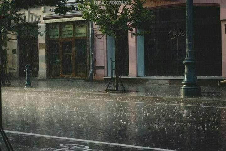 aestheticspost_'s tweet photo. Rainy days. https://t.co/fnS0LoVezu