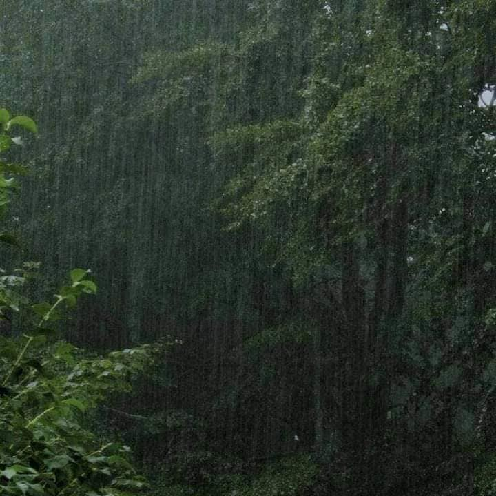 aestheticspost_'s tweet photo. Rainy days. https://t.co/fnS0LoVezu