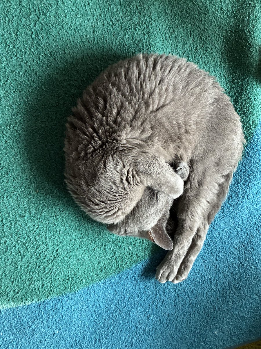 Mooory74's tweet photo. 吾輩はエビである🦐 https://t.co/sV9ZRKQSEY