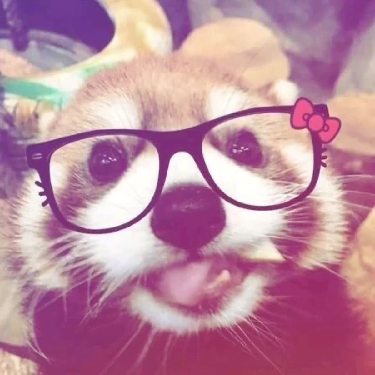k4ybaee's tweet photo. remembered the password https://t.co/Rm0iHdxmb4
