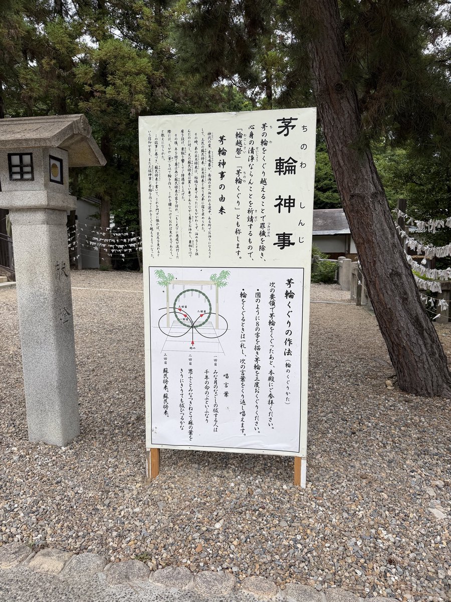 moco131's tweet photo. 茅の輪くぐりっていつからあったんだろ、、ここ数年で一気に増えたような... https://t.co/SHzNPoOUdQ