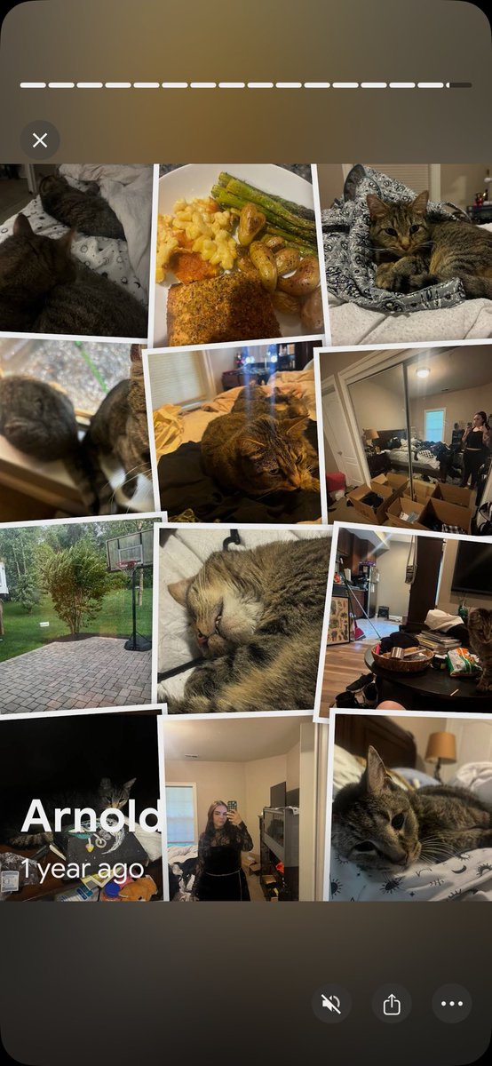 cxrktree's tweet photo. That and one photo of me being hot and cunty bc duh https://t.co/bvuzx6G8lf