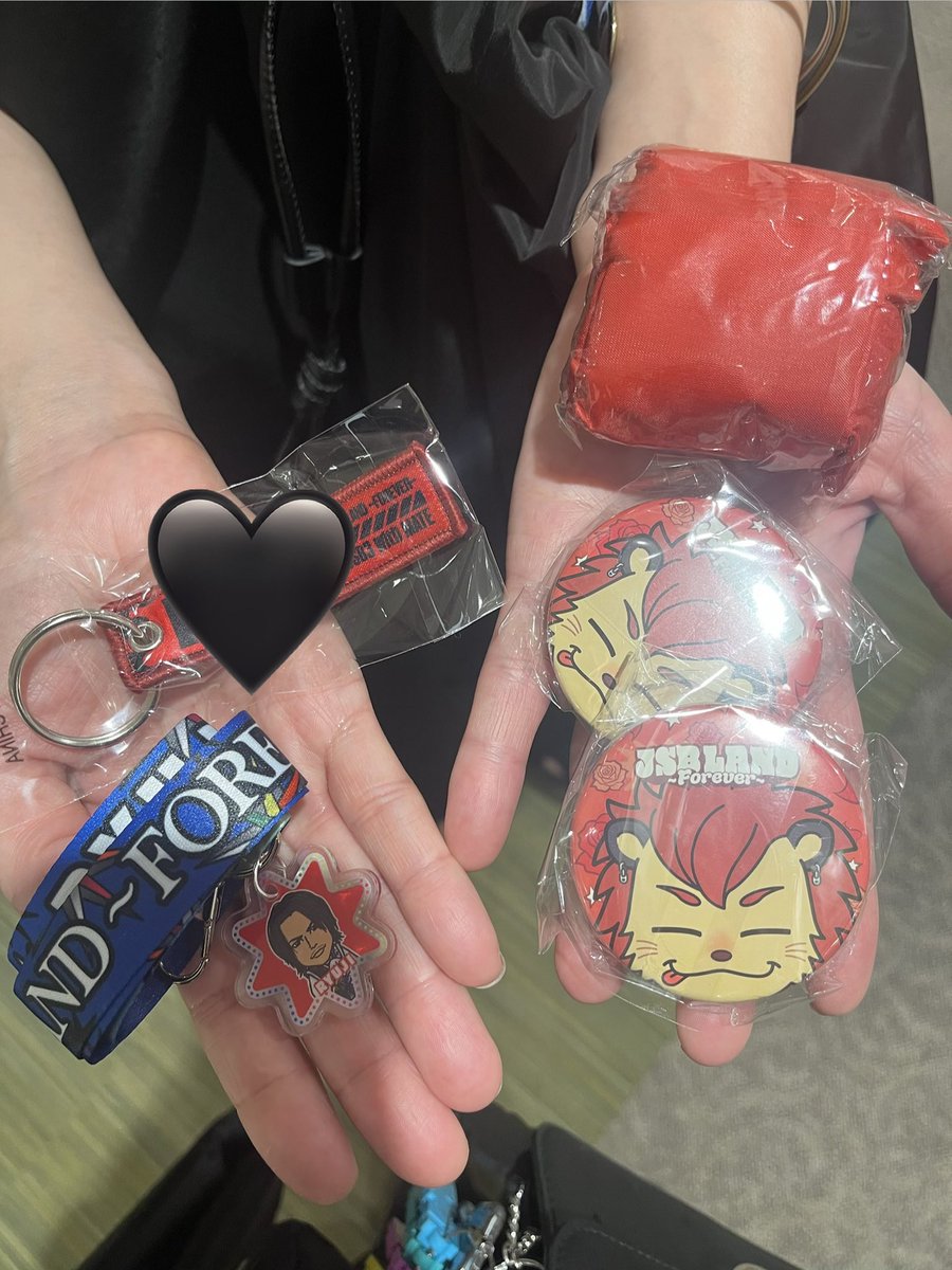 toy29moon's tweet photo. 三代目J SOUL BROTHERS JSB LAND FOREVER ガチャ 交換 缶バッジ エコバッグ ネックストラップ

譲 今市隆二 

求 岩田剛典

本日、京セラドーム現地で交換できる方は写真付きリプorDMお願いします。 https://t.co/SSGEiCZNs5