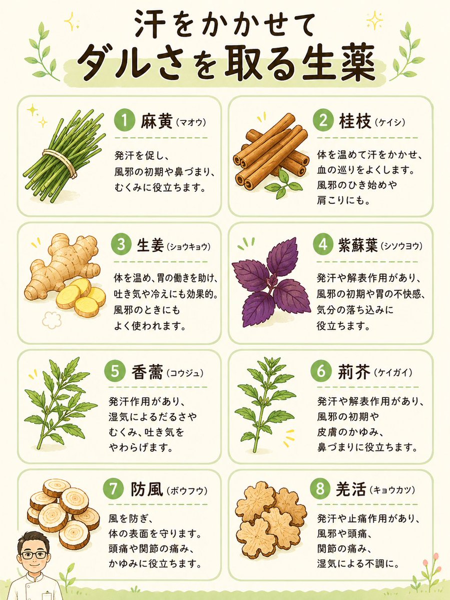 koureido's tweet photo. これは汗をかかせてダルさを取る生薬です。

これらの生薬が入っている漢方は
分かりますか？

漢方薬を理解するには
中に入っている
生薬を理解することが大切です。

もっと学びたい方は固定ポストの
挑戦状にトライ！ https://t.co/KTHSnUZFYB