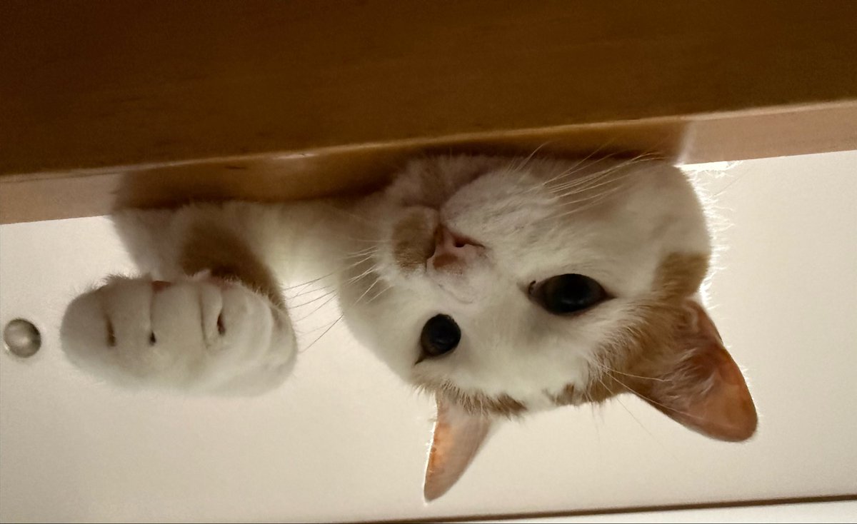 おはようございます