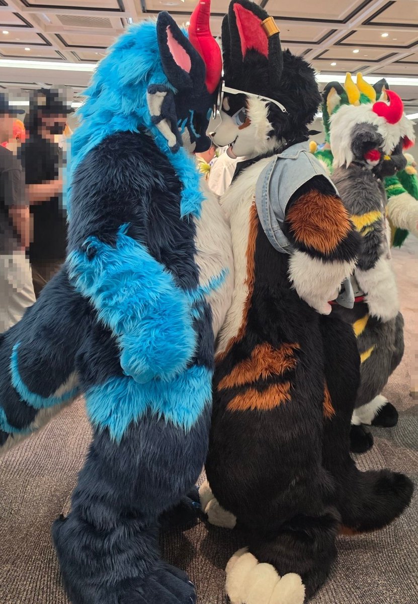 manyu_fursuit's tweet photo. シールドくん、ちょっとだけ私のお腹乗せてもいい？

쉴드쿤, 잠깐 배 좀 올려놔도 되지? https://t.co/z7n9IeKJeS