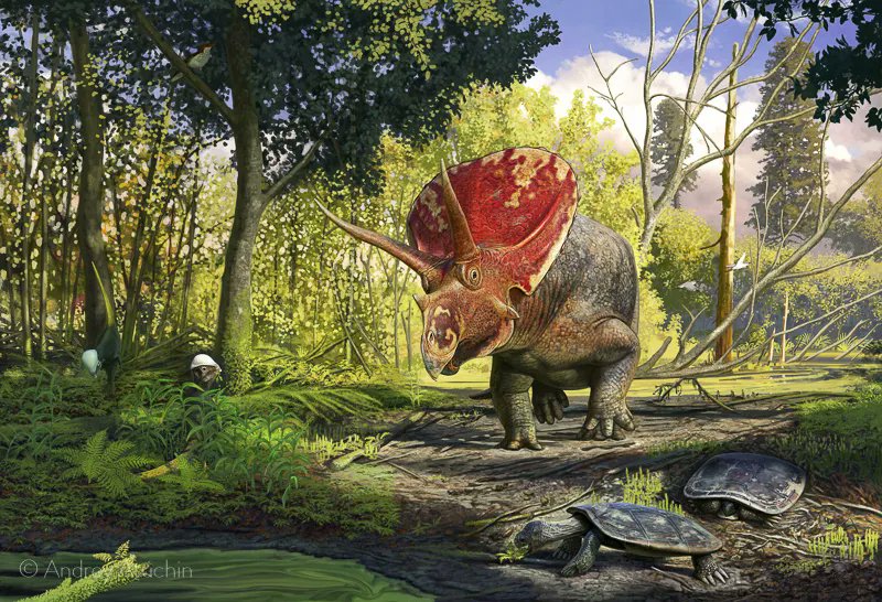 thelostaeons's tweet photo. #ArtistSpolight - Andrey Atuchin. My favorite paleoartist of all time. I could make a whole thread of his art, but let's focus on a few pieces for now. https://t.co/0Zxi7wSj6H