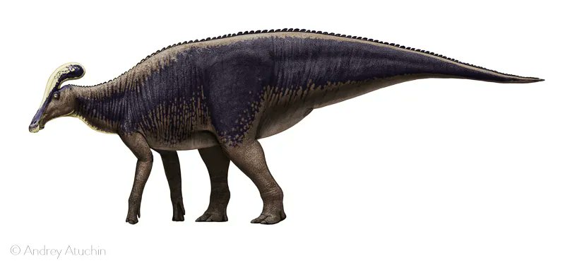 thelostaeons's tweet photo. #ArtistSpolight - Andrey Atuchin. My favorite paleoartist of all time. I could make a whole thread of his art, but let's focus on a few pieces for now. https://t.co/0Zxi7wSj6H