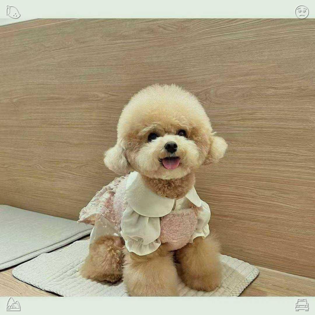 MariaSunaLima's tweet photo. 他向他们讲述了过去与妻子在公园散步的时光——他们手牵手，谈笑风生，那座公园曾是他们的避风港，是他们情感交流的圣地，正如克拉拉和伊桑一样。⚾腰部有运动裤 https://t.co/pCYcUlzA63