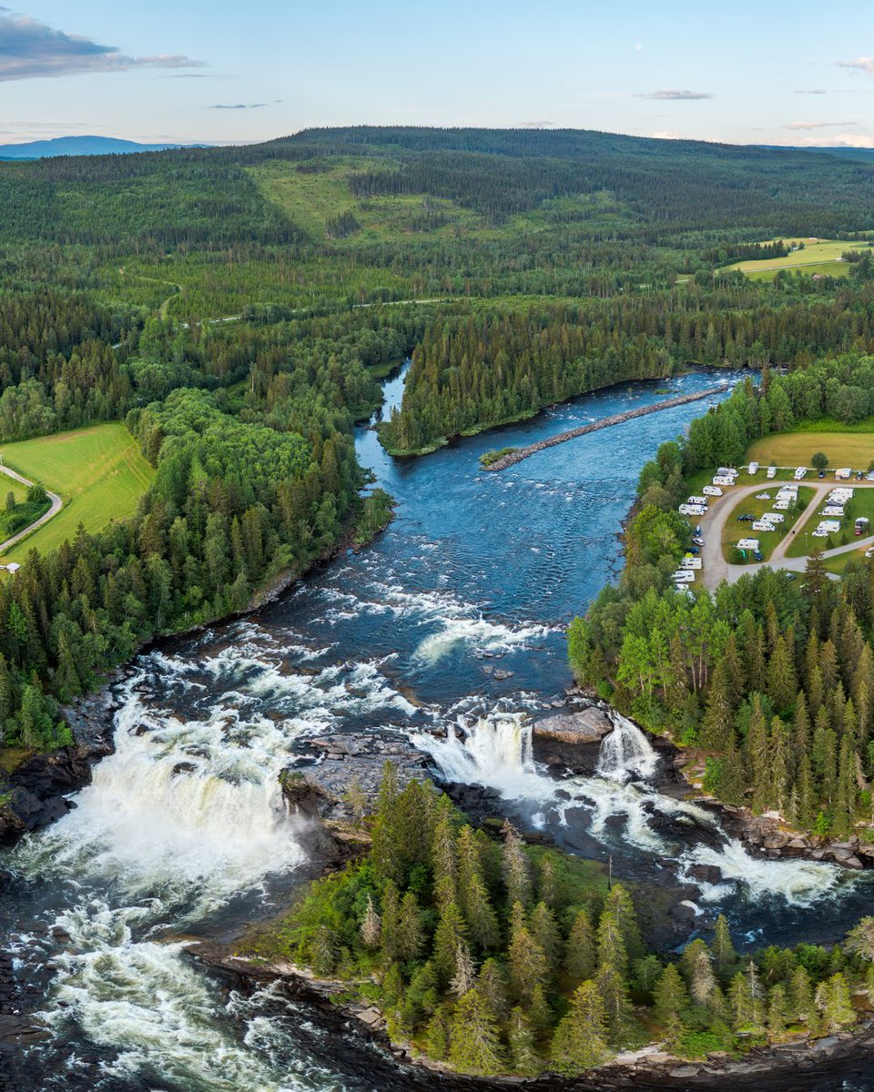 NatureMuse_'s tweet photo. Ristafallet waterfall in Sweden 🇸🇪 https://t.co/xbVqynu4hP