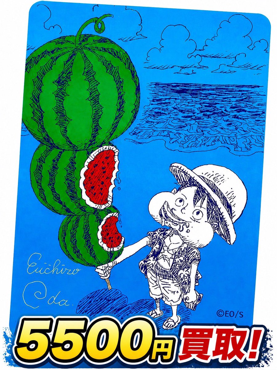 🌊本日も募集中🌊 ナツコミ 夏コミ ワンピース メタキラカード