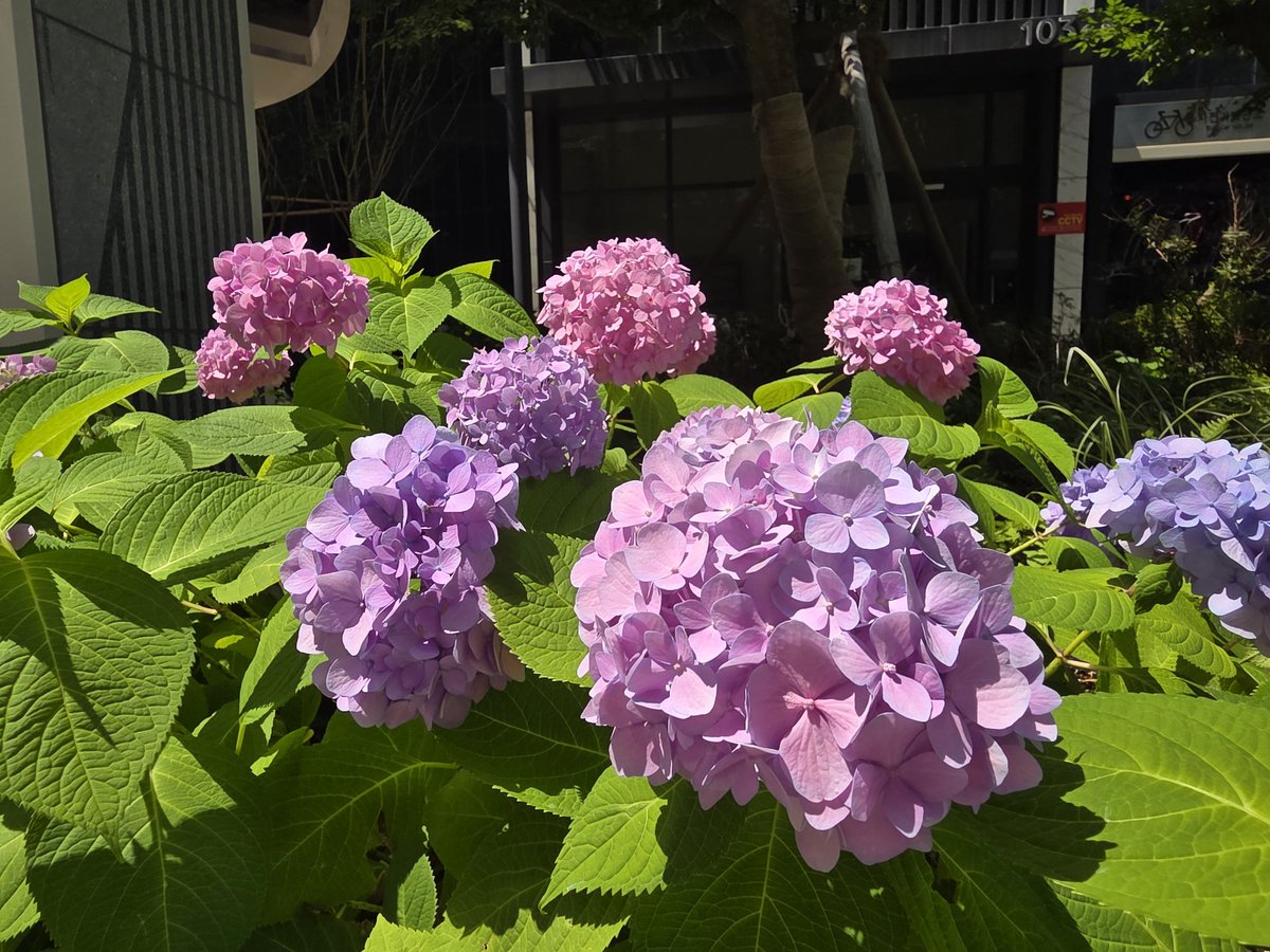 jhyeona1's tweet photo. 당신이 누군가에게 건넨 작은 친절은 생각보다 먼 곳까지 여행합니다.

#좋은글 #행복 #사랑 #응원해요 https://t.co/Wi5VcFXGBg