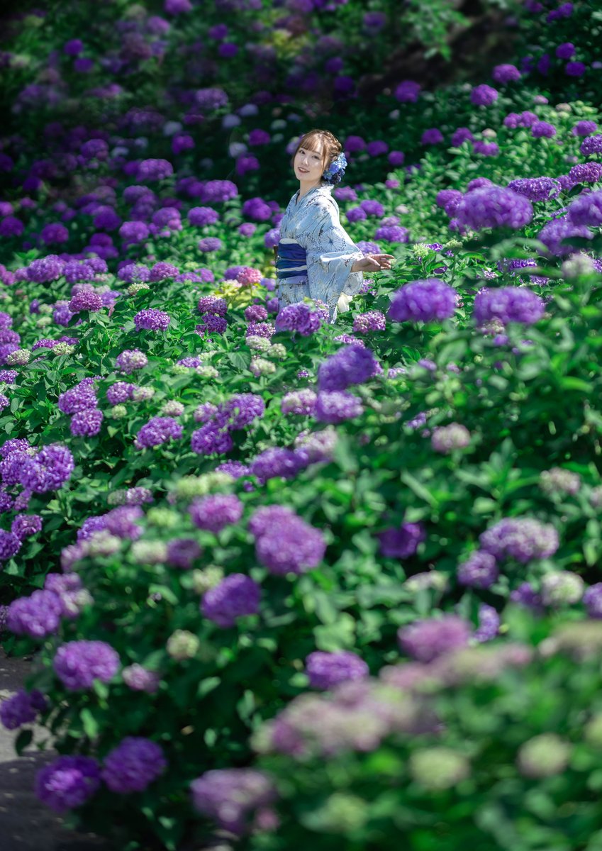 shirow1205's tweet photo. 梅雨晴間の花園

ストロボ最大出力でも
足りない季節到来、、
ロケ撮が難しい https://t.co/nPAflyJm6I