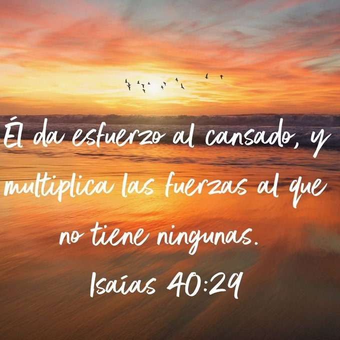barricada_azul1's tweet photo. [EN PAZ ME ACOSTARE]

"El da esfuerzo al cansado,
y multiplica las fuerzas
al que no tiene ningunas." Isaias 40:29

#DiosEnLaEcuacion