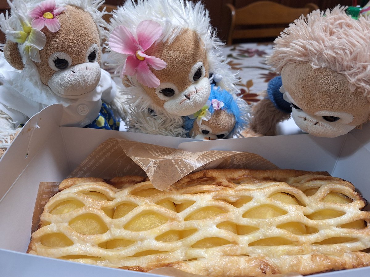 TW45V6's tweet photo. @coco_natsu_mii わぁ～まっつー、美味しそうなおやつもらえたんだね🐵🍋
ソロにもくれるの⁉️やった～🐵🙌
まっつー、うちにはアップルパイあるから食べようぜ🐵 https://t.co/23m3He65tV