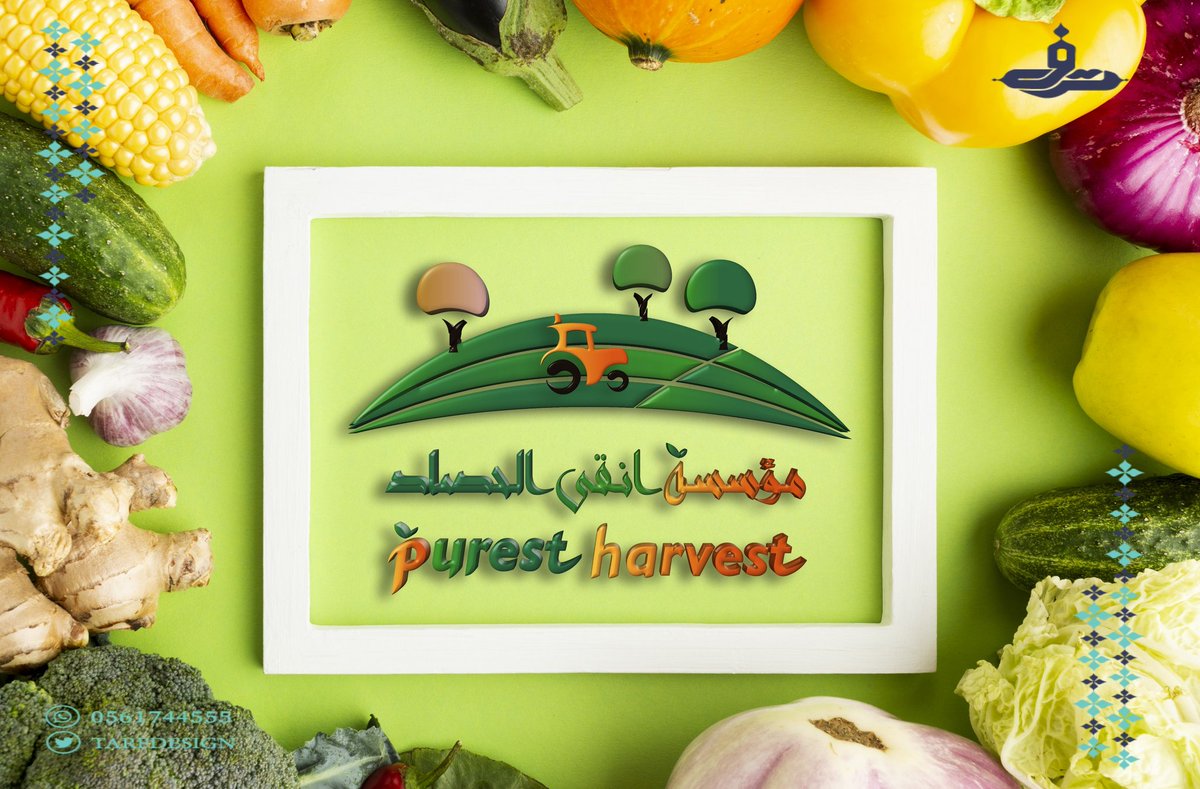 tarfdesign's tweet photo. #السنغال_بلجيكا
المنتخب الامريكي
خالد البلطان النقل الداخلي

تصميم هوية بصرية نشاطك محتاج تطوير هوية نضع الافكار ونبدأ بالعمل لتصل للنجاح

تصميم تطوير صناعة البراند من البداية شركاء نجاح #تصميم https://t.co/26JdaAEec3