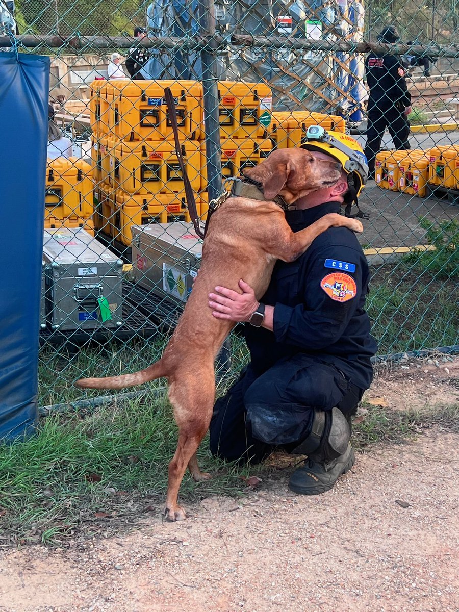 LACOFD's tweet photo. While a search and rescue K9’s primary job is saving lives, their role doesn’t end when the search stops. 

Amidst the rubble and devastation of a disaster, these remarkable dogs offer an unspoken language of comfort.  A simple, quiet moment of connection—a wagging tail or a gentle nudge—can provide a beacon of hope when it is needed most. 

And to our canine handlers, we acknowledge the unbreakable bond between handler and dog, the rigorous daily training, and the countless hours spent on the frontline of natural and man-made disasters. 🐕🐕‍🦺🐾