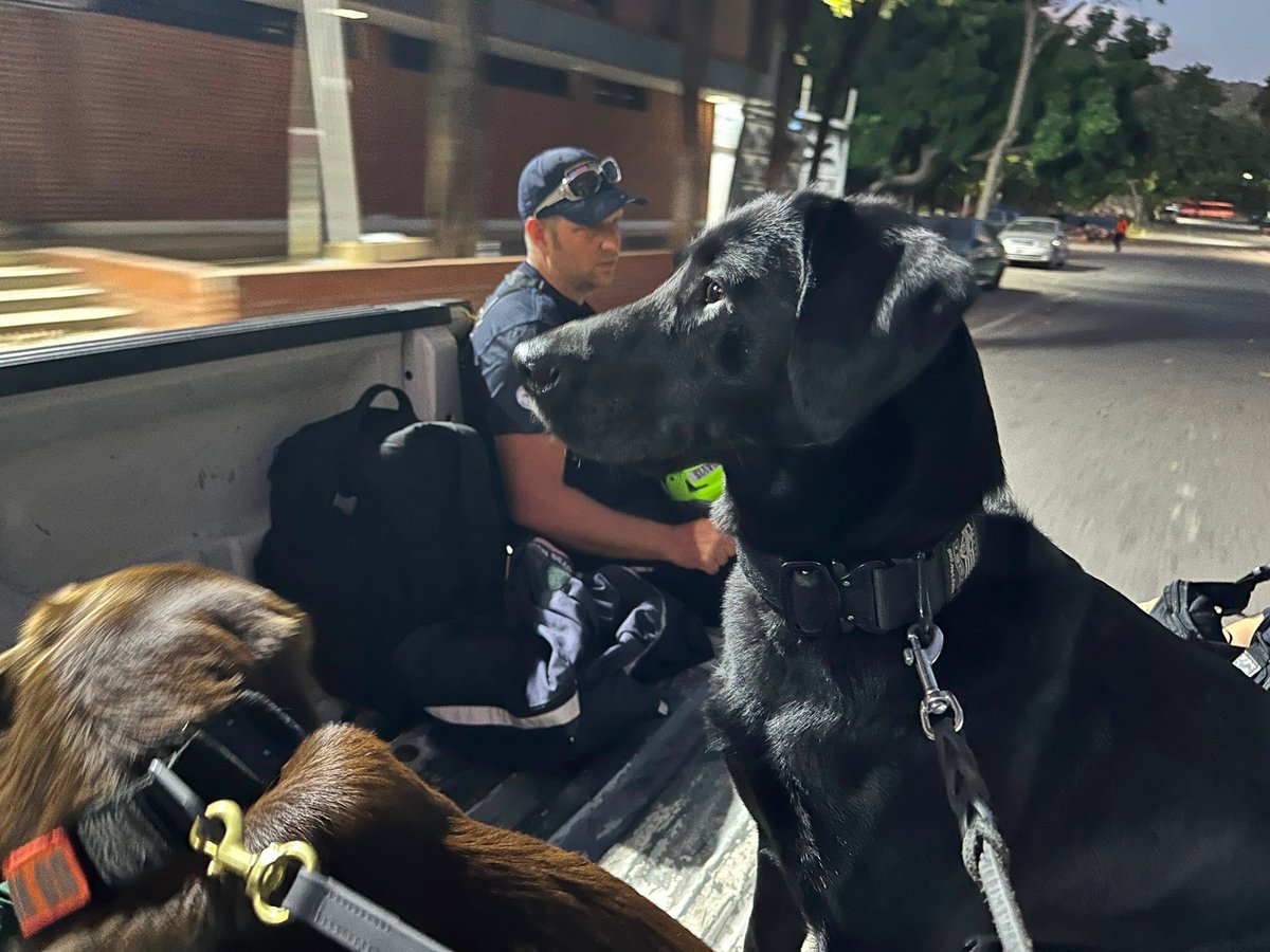 LACOFD's tweet photo. While a search and rescue K9’s primary job is saving lives, their role doesn’t end when the search stops. 

Amidst the rubble and devastation of a disaster, these remarkable dogs offer an unspoken language of comfort.  A simple, quiet moment of connection—a wagging tail or a gentle nudge—can provide a beacon of hope when it is needed most. 

And to our canine handlers, we acknowledge the unbreakable bond between handler and dog, the rigorous daily training, and the countless hours spent on the frontline of natural and man-made disasters. 🐕🐕‍🦺🐾