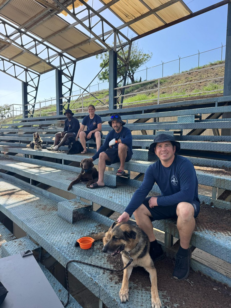 LACOFD's tweet photo. While a search and rescue K9’s primary job is saving lives, their role doesn’t end when the search stops. 

Amidst the rubble and devastation of a disaster, these remarkable dogs offer an unspoken language of comfort.  A simple, quiet moment of connection—a wagging tail or a gentle nudge—can provide a beacon of hope when it is needed most. 

And to our canine handlers, we acknowledge the unbreakable bond between handler and dog, the rigorous daily training, and the countless hours spent on the frontline of natural and man-made disasters. 🐕🐕‍🦺🐾