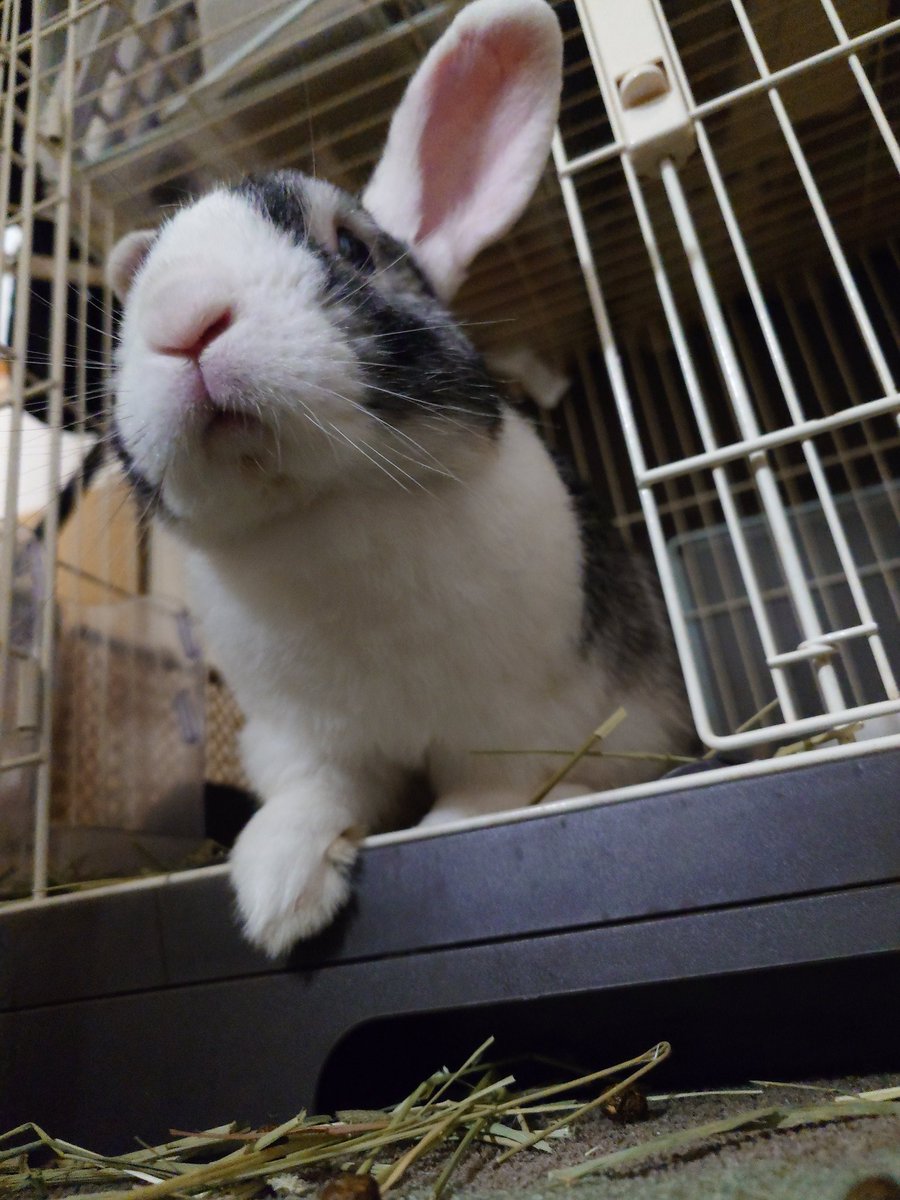 MbsPoo's tweet photo. どうしたらいいのかなぁ
どうしたら救われるんだろう
毎日しんどいんですけどどうしたらいいですか https://t.co/oDuHMt1WK8