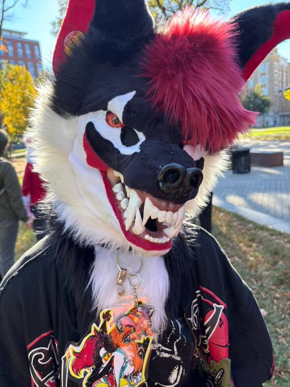 EnderHowls's tweet photo. ANTHROCON TOMORROW!!!
COME FIND ME >:)
i’ll be in and out of suit !! @r3alracc00n may also have Rage Bait on at times :)
DO: 
- say hi !!! come chat!!
- take pics, get hugs, whatevs :)
DONT:
- idgaf lowkey.
- be normal https://t.co/r9XHkUiOx0