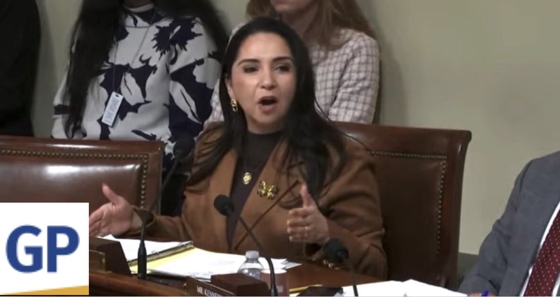gatewaypundit's tweet photo. Meet the Poster Child for Why Birthright Citizenship Is Horrible: Rep. Ramirez – Born to an Illegal and Now Trashes America and Supporters Terrorists

Link in the comment section. https://t.co/U20CmW31jj