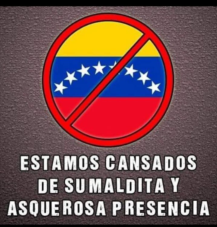 Sergio791841692's tweet photo. @pilpilen_return https://t.co/X0y7Bd912l