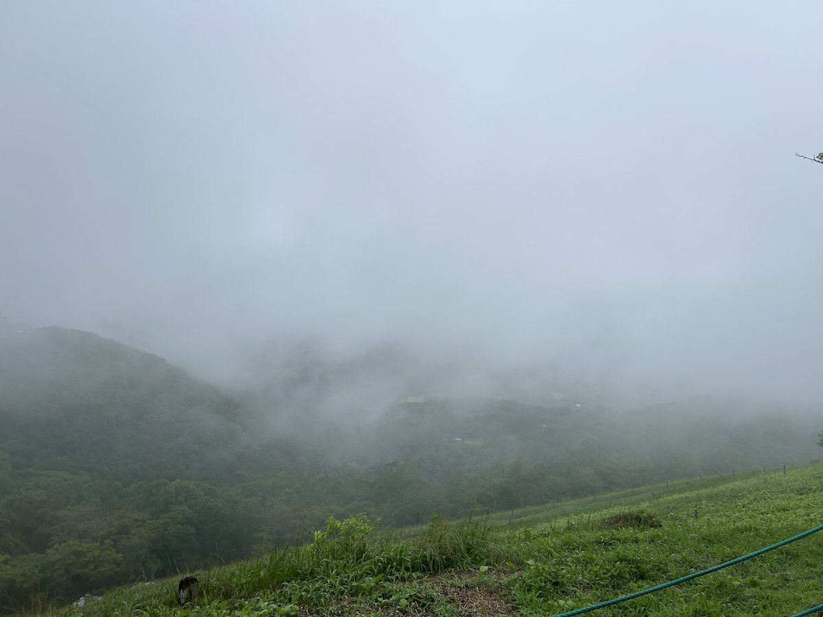 kabaccho's tweet photo. 自然最高🌳
もののけ姫観たくなっちゃうよね

おはようございますな https://t.co/dtnCZ5da4V