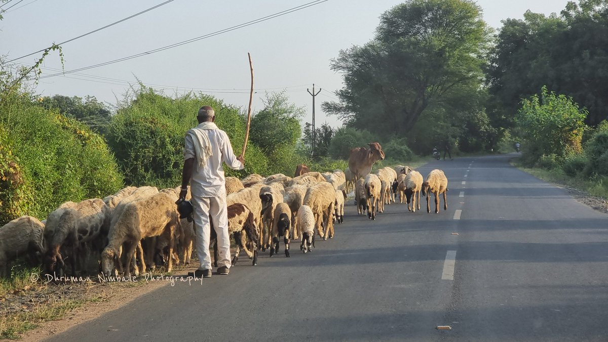 dhruman39's tweet photo. The #morning in #rural landscape!!😘
It is a dynamic, #livingsystem produced by warm #interaction between #mankind and #nature !!👏
#DhrumanNimbalePhotography https://t.co/oB3x1bGpNp