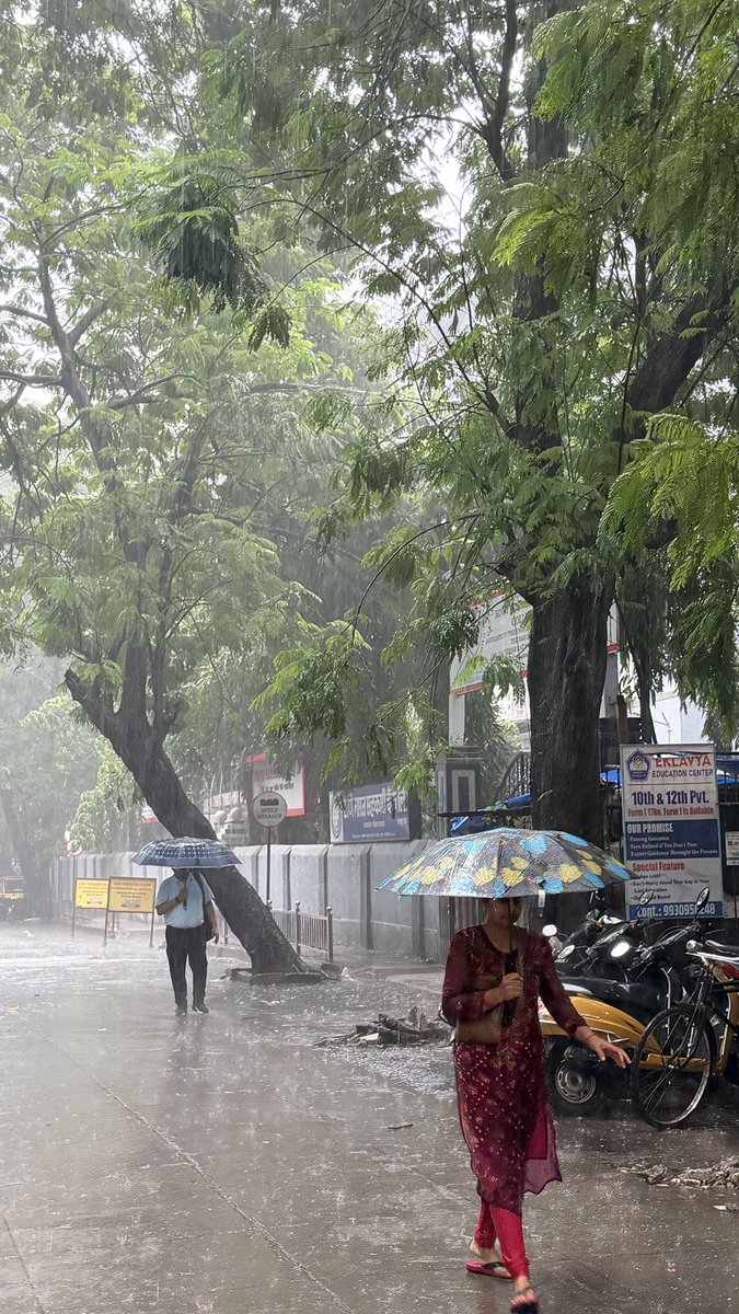 nitinntd's tweet photo. @cmo
Urgent Request for Tree Trimming Near Hindi High School, Ghatkopar (W)
@mybmc @mybmcWardN @TawdeRitu @CMOMaharashtra 
This is to bring to your urgent attention the overgrown and dangerous tree branches located near Hindi High School, close to Ghatkopar Railway Station West https://t.co/6YFZx1OaSZ