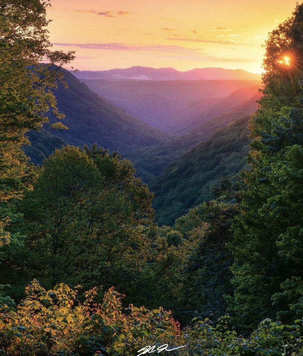 WV State Parks tweet media