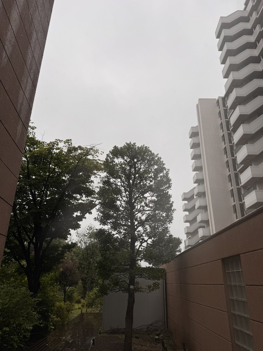 kouji1425's tweet photo. おはようございます(^O^)／
7/2 6:20 東京都下は気温21.0℃湿度82% 今日は本降りの雨☔が降ってますね〜😅
足元、運転🚗🚲には十分お気をつけください🙇‍♀️
今日も笑顔で楽しい一日をお過ごしください(^-^)v
#イマソラ #いまそら https://t.co/dUmMAuQ58S