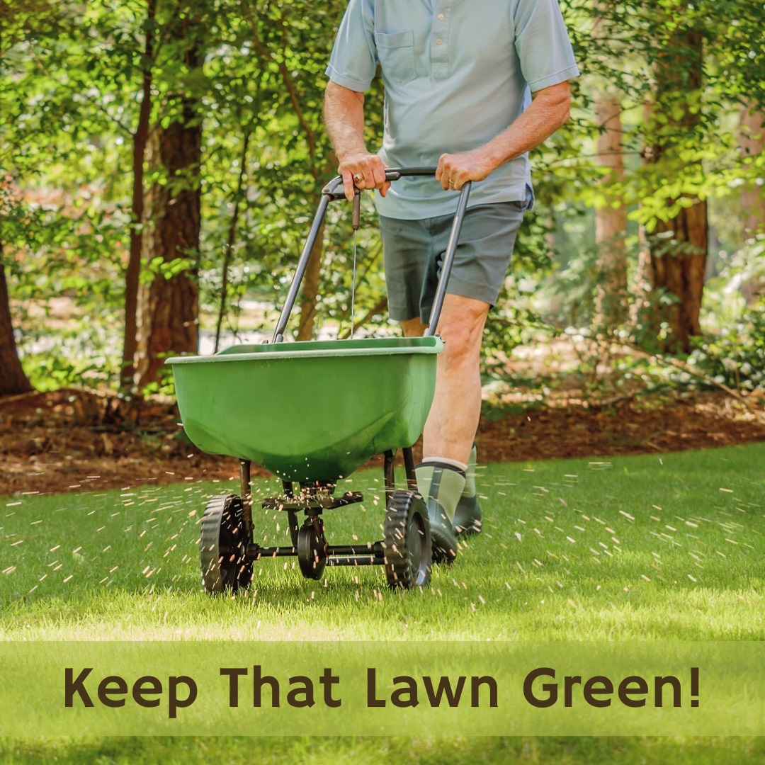 piney_group's tweet photo. Listing your home in the summer has it's challenges. Be sure to keep that lawn green with proper fertilizing and water! https://t.co/YW2GgZ4NmY