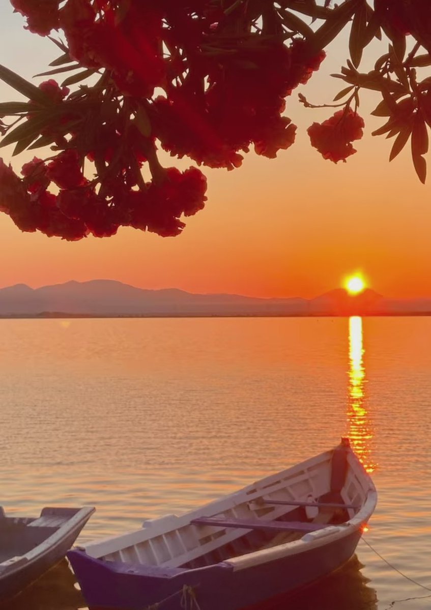 bellalilli161's tweet photo. #sunsetphotography
#sunsetlover
#NaturePhotography https://t.co/811HWjdM9m